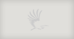 Er is geen foto van dit monument