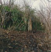 Groepsonderkomen X3 (8716/622)